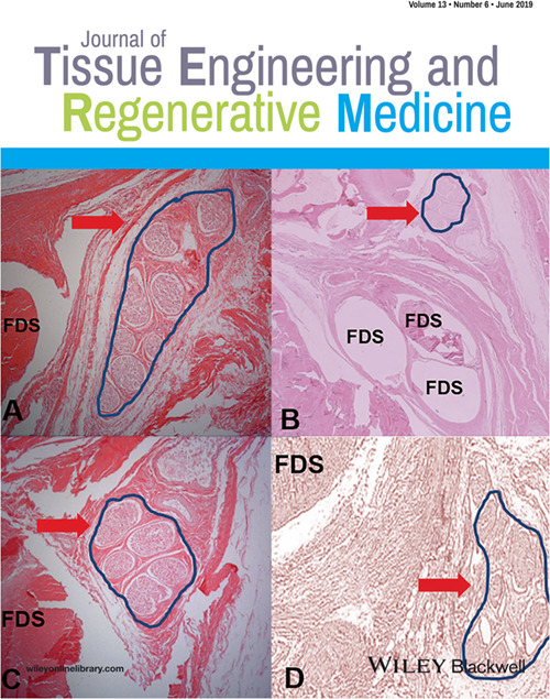Paper published in Journal of Tissue Engineering and Regenerative Medicine